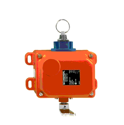 KS-2ք(dng)(f)λK_(ki)P(gun)